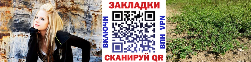 Продажа наркотиков Новохопёрск Каннабис  Меф  omg маркетплейс  ГАШИШ  A-PVP 
