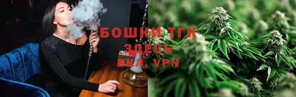 сатива Балахна