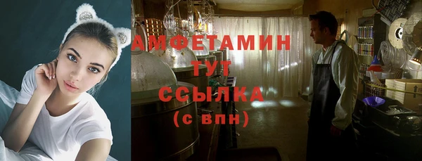 сатива Балахна