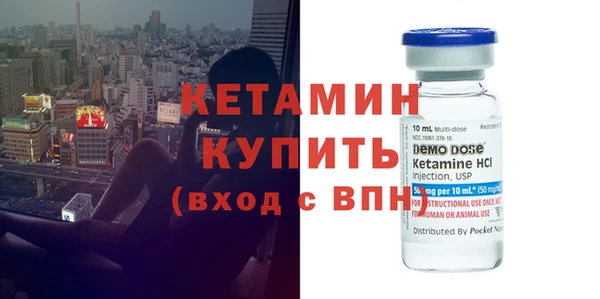 сатива Балахна