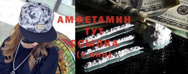 сатива Балахна