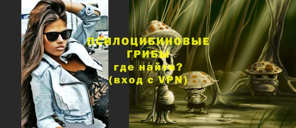 сатива Балахна