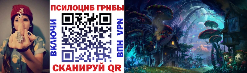 Галлюциногенные грибы Psilocybe  кракен tor  Новохопёрск 